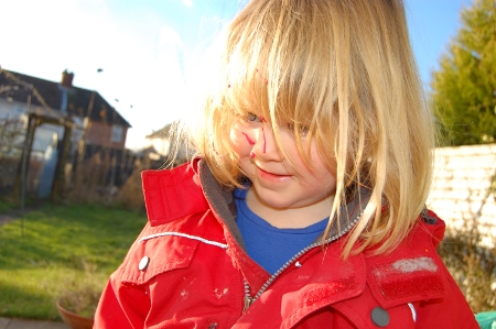 engelsk litteratur-blogg